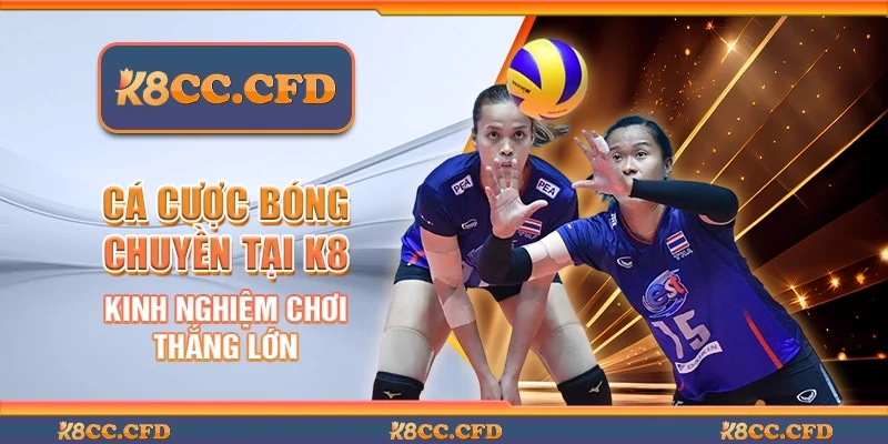 Cá cược bóng chuyền tại K8 - Kinh nghiệm chơi thắng lớn