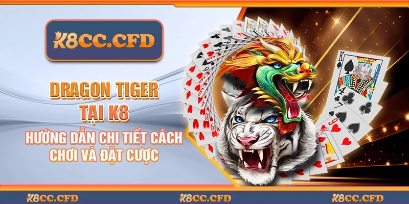 Dragon Tiger tại K8 – Hướng dẫn chi tiết cách chơi và đặt cược