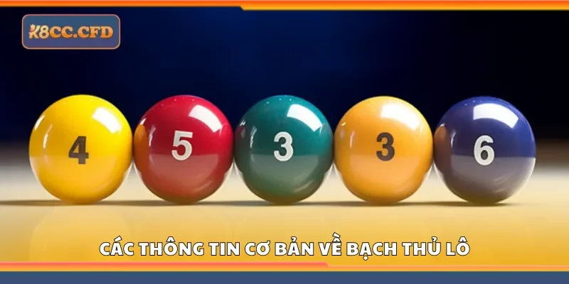 Các thông tin cơ bản về Bạch thủ lô