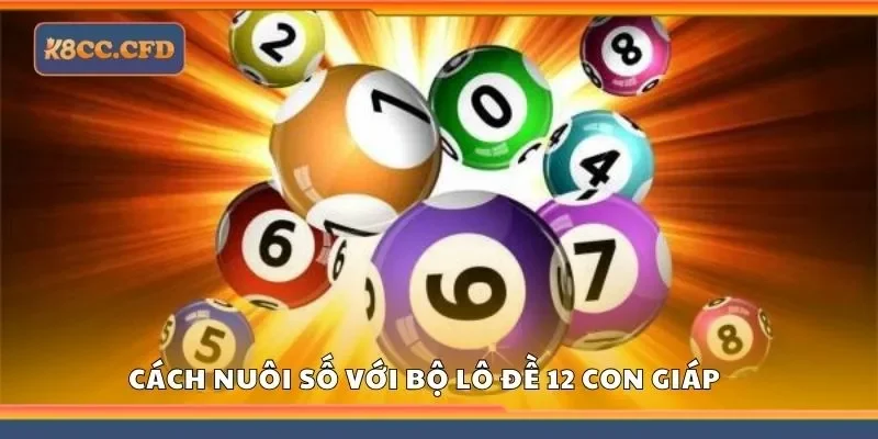Khám phá cách nuôi số với bộ lô đề 12 con giáp