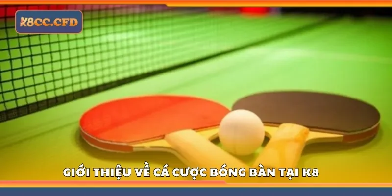 Giới thiệu về cá cược bóng bàn tại K8