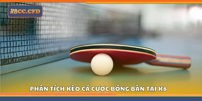 Nắm bắt các kèo cá cược bóng bàn tại K8