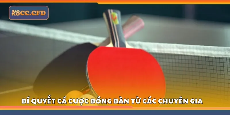 Bật mí bí quyết cá cược bóng bàn từ các chuyên gia