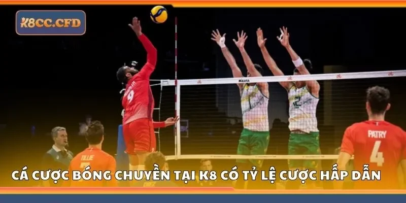 Cá cược bóng chuyền tại K8 có tỷ lệ cược hấp dẫn