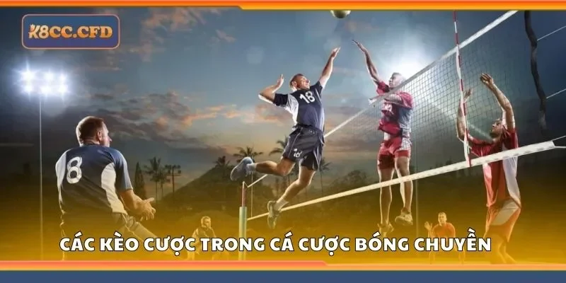 Tổng hợp các kèo cược trong cá cược bóng chuyền