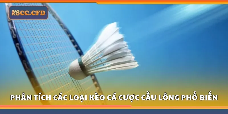 Phân tích các loại kèo cá cược cầu lông phổ biến
