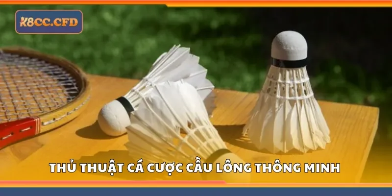 Thủ thuật cá cược cầu lông thông minh giúp cải thiện tỷ lệ thắng