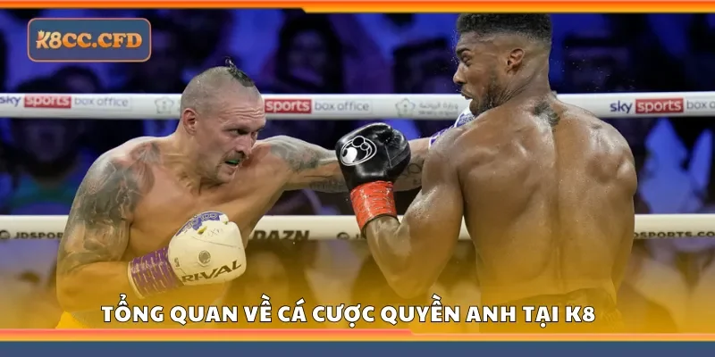 Tổng quan về cá cược quyền anh tại K8