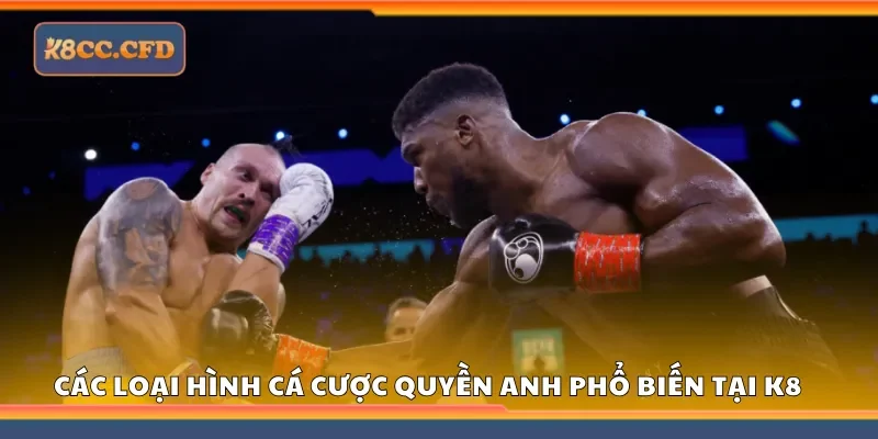 Một số loại hình cá cược quyền anh phổ biến tại K8