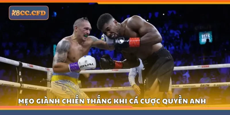 Chia sẻ mẹo giành chiến thắng khi cá cược quyền anh