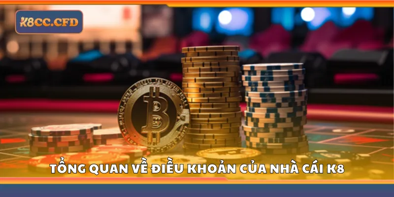 Tổng quan về điều khoản sử dụng K8