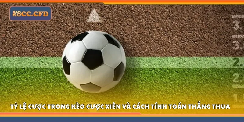 Hiểu rõ tỷ lệ cược trong kèo cược xiên và cách tính toán thắng thua tại K8