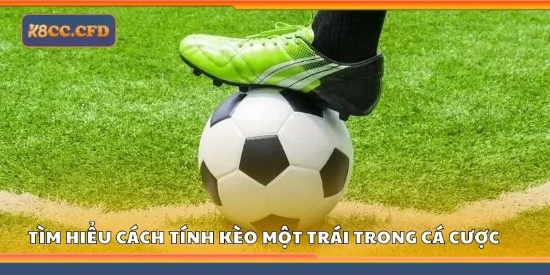 Tìm hiểu cách tính kèo một trái trong cá cược