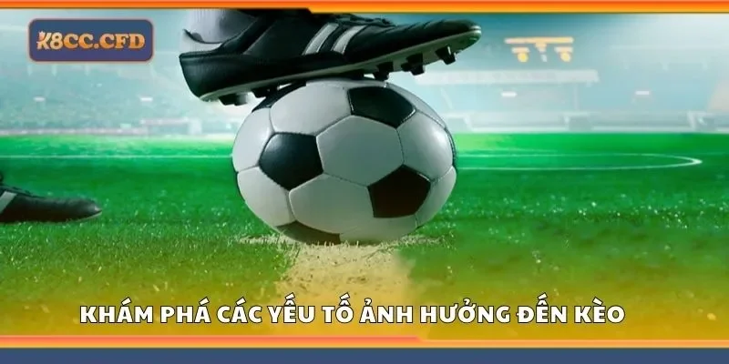 Khám phá các yếu tố ảnh hưởng đến kèo