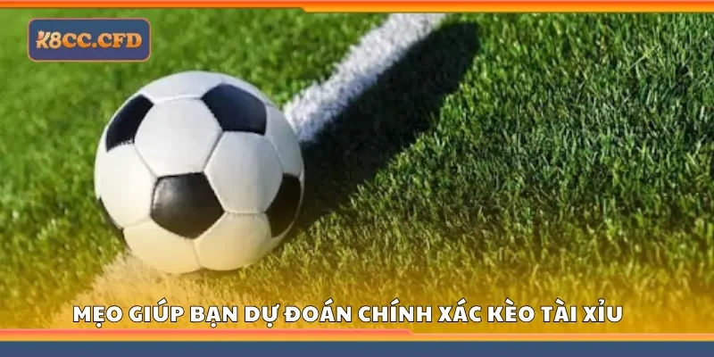 Top mẹo giúp bạn dự đoán chính xác kèo