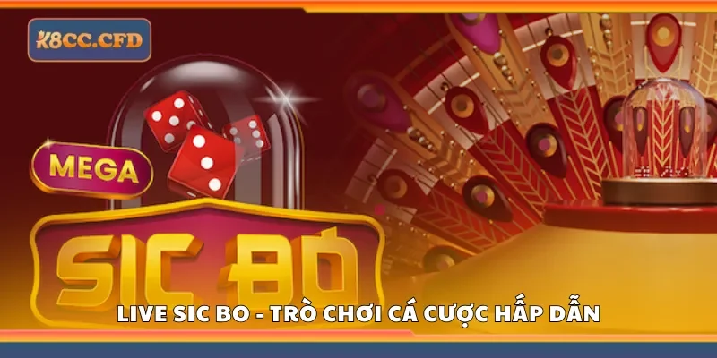 Live sic bo - trò chơi cá cược hấp dẫn