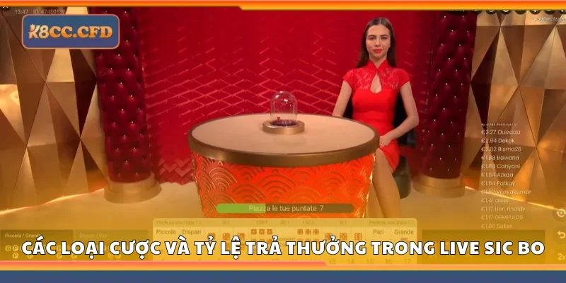 Những loại cược và tỷ lệ trả thưởng trong live sic bo