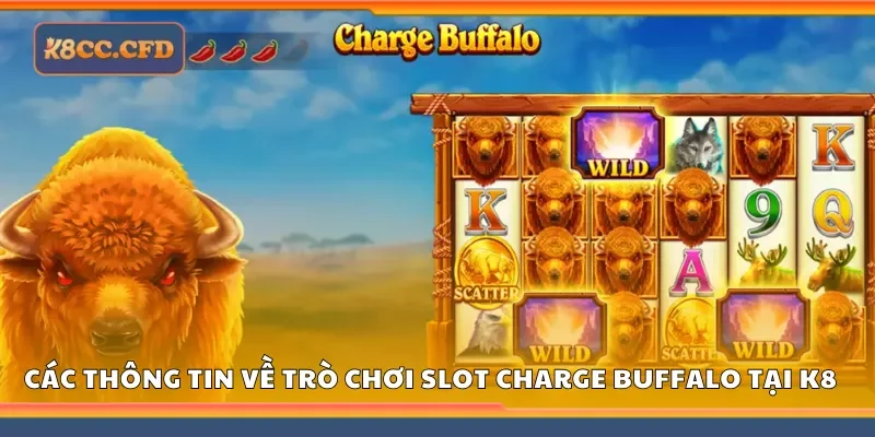 Khám phá các thông tin về trò chơi slot charge buffalo tại K8